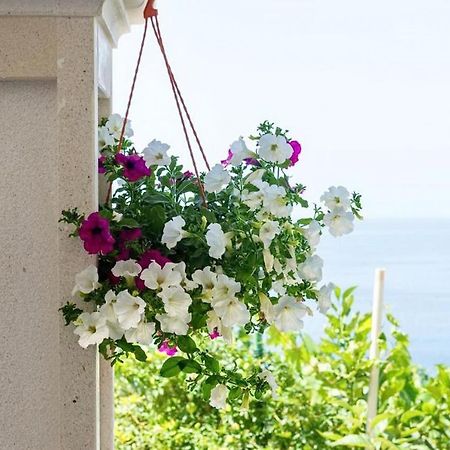 Apartments Villa Bella Vista Gornji Dingač Dış mekan fotoğraf