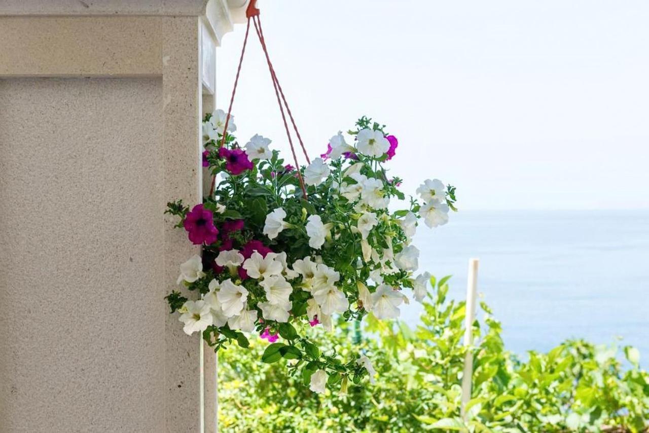 Apartments Villa Bella Vista Gornji Dingač Dış mekan fotoğraf