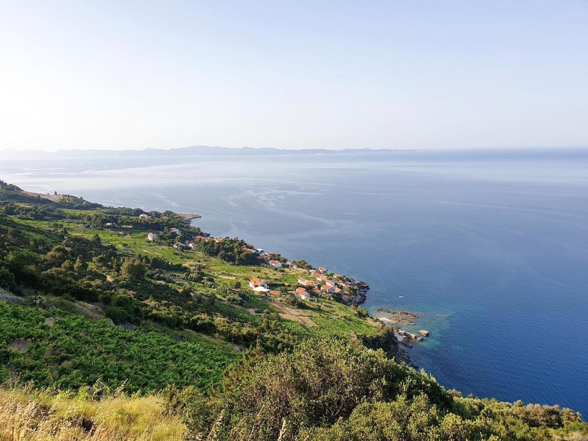 Apartments Villa Bella Vista Gornji Dingač Dış mekan fotoğraf
