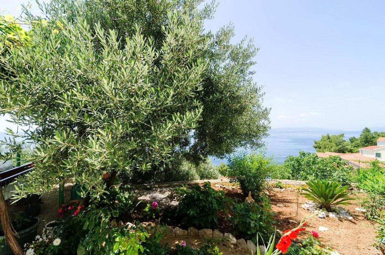 Apartments Villa Bella Vista Gornji Dingač Dış mekan fotoğraf